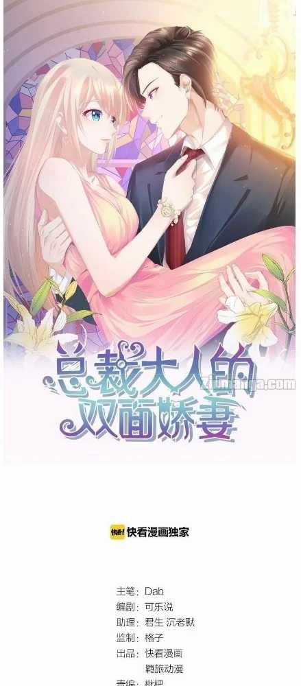 The President Lovely Wife Chapter 1 - 219