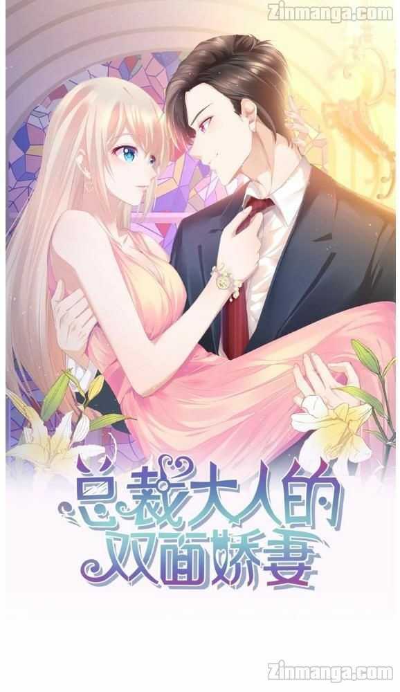 The President Lovely Wife Chapter 6 - 273